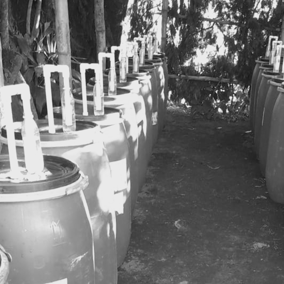 ¿QUÉ ES LA FERMENTACIÓN ANAERÓBICA?