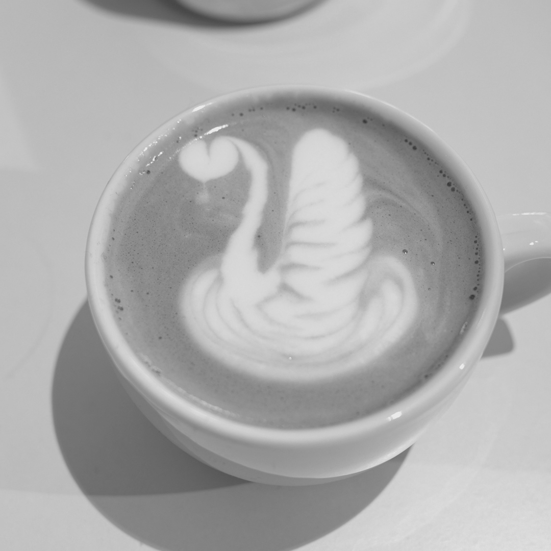 ¿TE GUSTARÍA HACER UN CISNE EN TU CAFÉ?