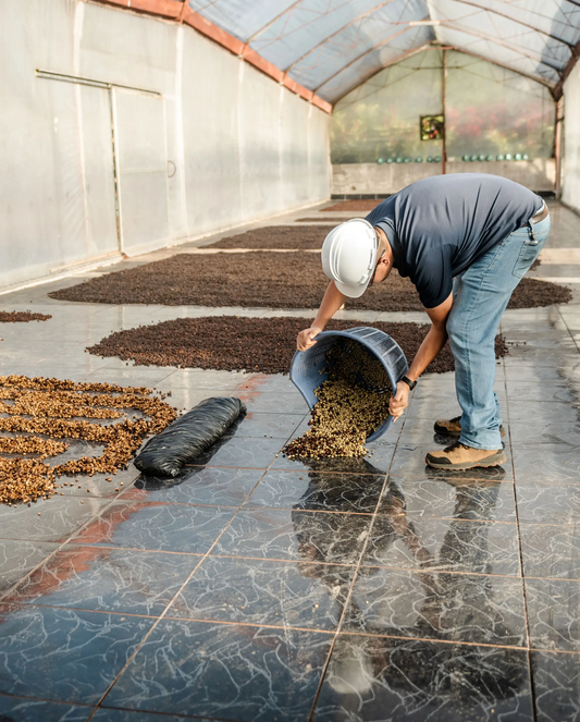 Nuestro café Entre Ríos es el primero en declararse libre de deforestación