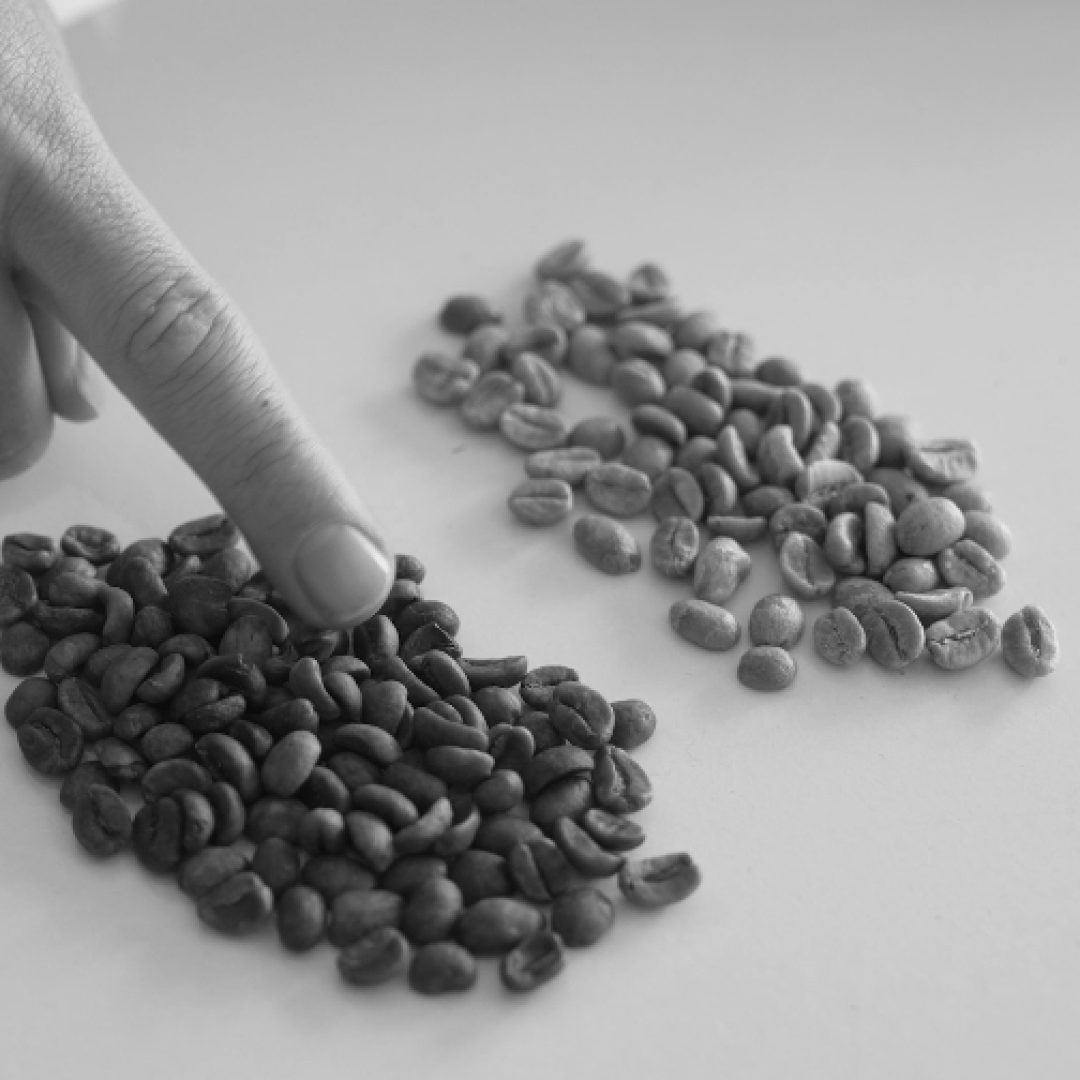 ¿CÓMO SE LE QUITA LA CAFEÍNA AL CAFÉ?