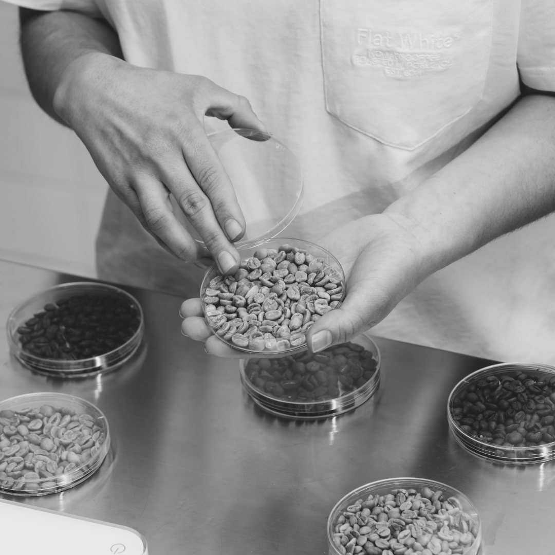 ¿ALGUNA VEZ HAS ESCUCHADO LA PALABRA TERROIR EN EL CAFÉ?