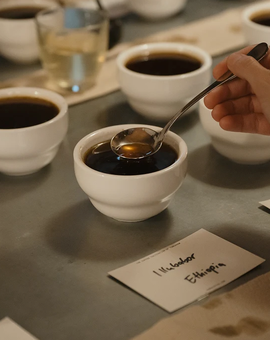 Nomad Coffee