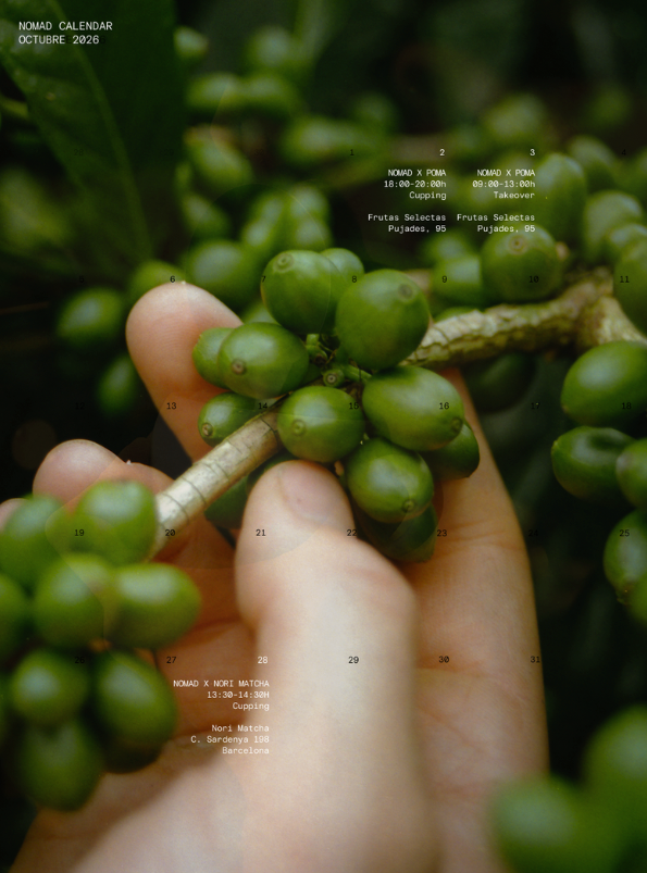 Nomad Coffee