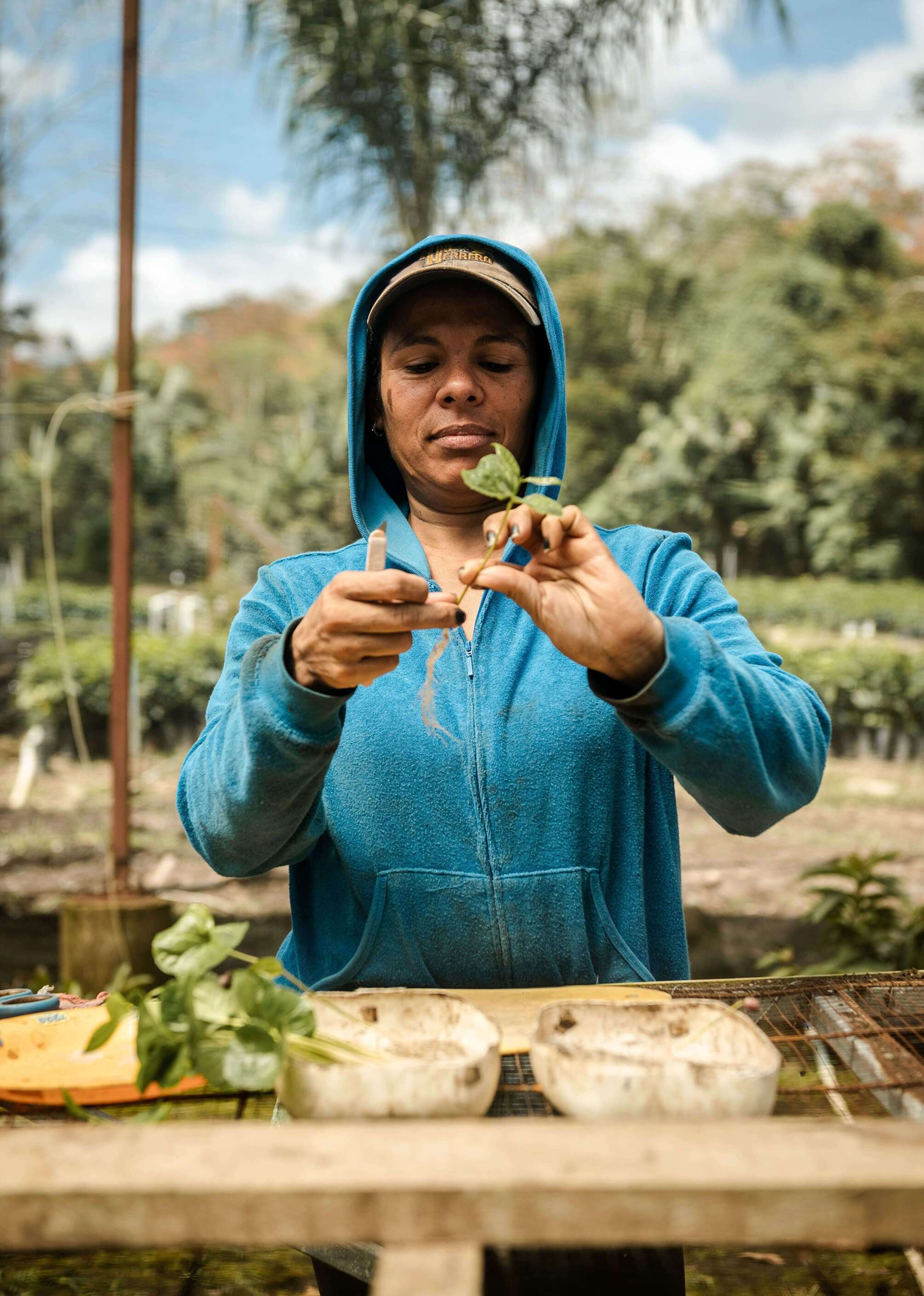 Esperanza